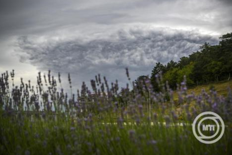 Másodfokú riasztást adtak ki viharos széllökések veszélye miatt egyes dunántúli járásokra