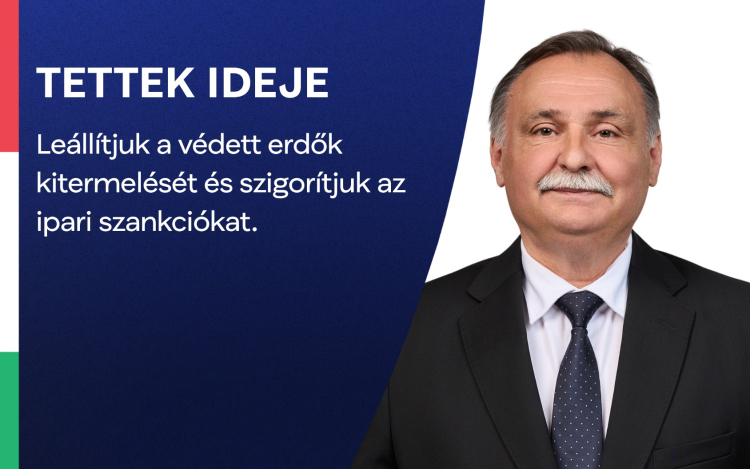 Gajdos László: leállítják a védett erdők kitermelését, és szigorítják az ipari szankciókat